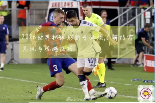 体彩 世界杯新手如何避免亏损陷阱