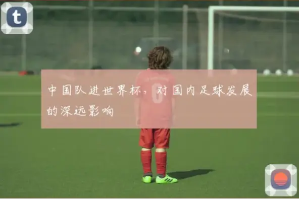 中国世界杯对国内足球发展的实际影响